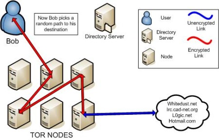 tor-revealed.jpg
