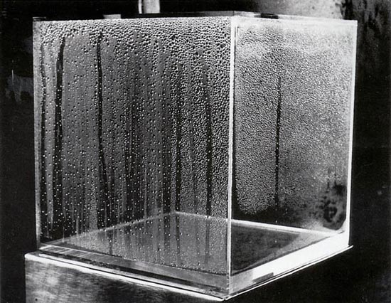 hans-haacke-condensation-cube-1963
